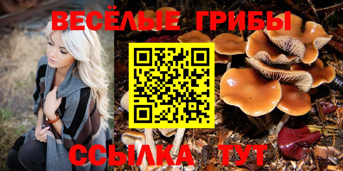 Галлюциногенные грибы Psilocybine cubensis  Вход с VPN  Ликино-Дулёво 